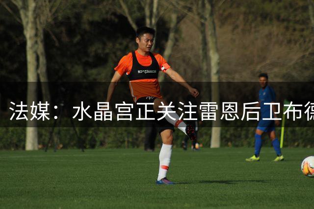 法媒：水晶宫正关注雷恩后卫布德拉尔与罗马中场艾纳维